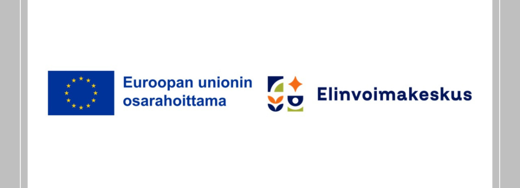 Diversiteetistä elinvoimaa rahoittajat