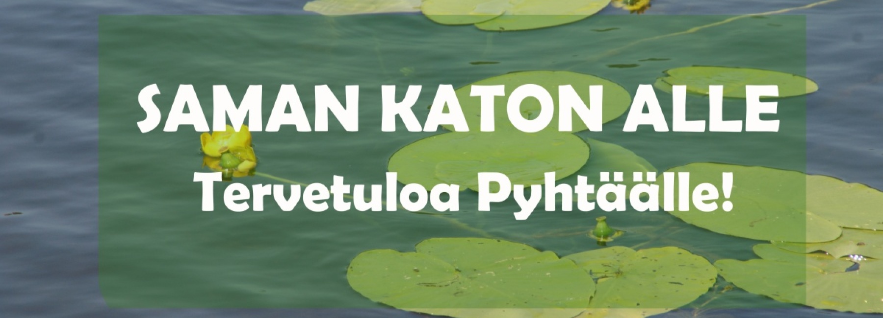 Saman katon alle