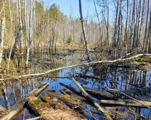 Vantaansuontakusenkujalla on huhtikuun alussa vielä hiljaista