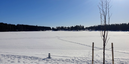 Huutjärven rantaa maaliskuusss